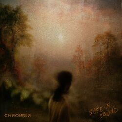 Cover of Safe N Sound