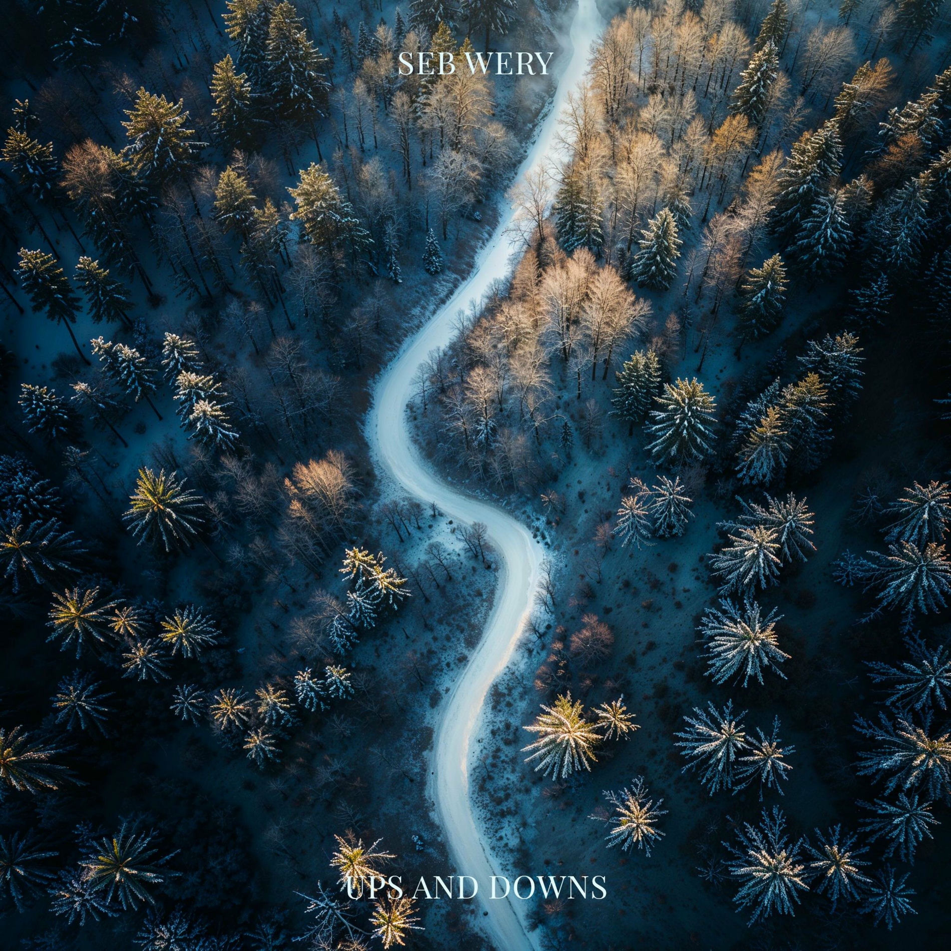 Album cover of Ups And Downs