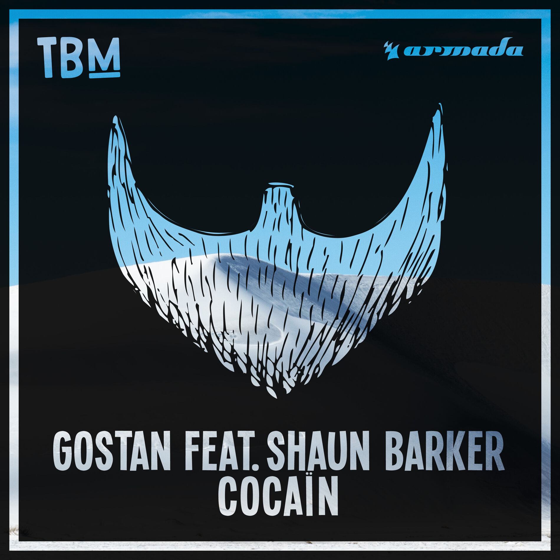 Album cover of Cocaïn
