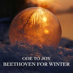 Cover of "Ode to Joy" - Beethoven for Winter