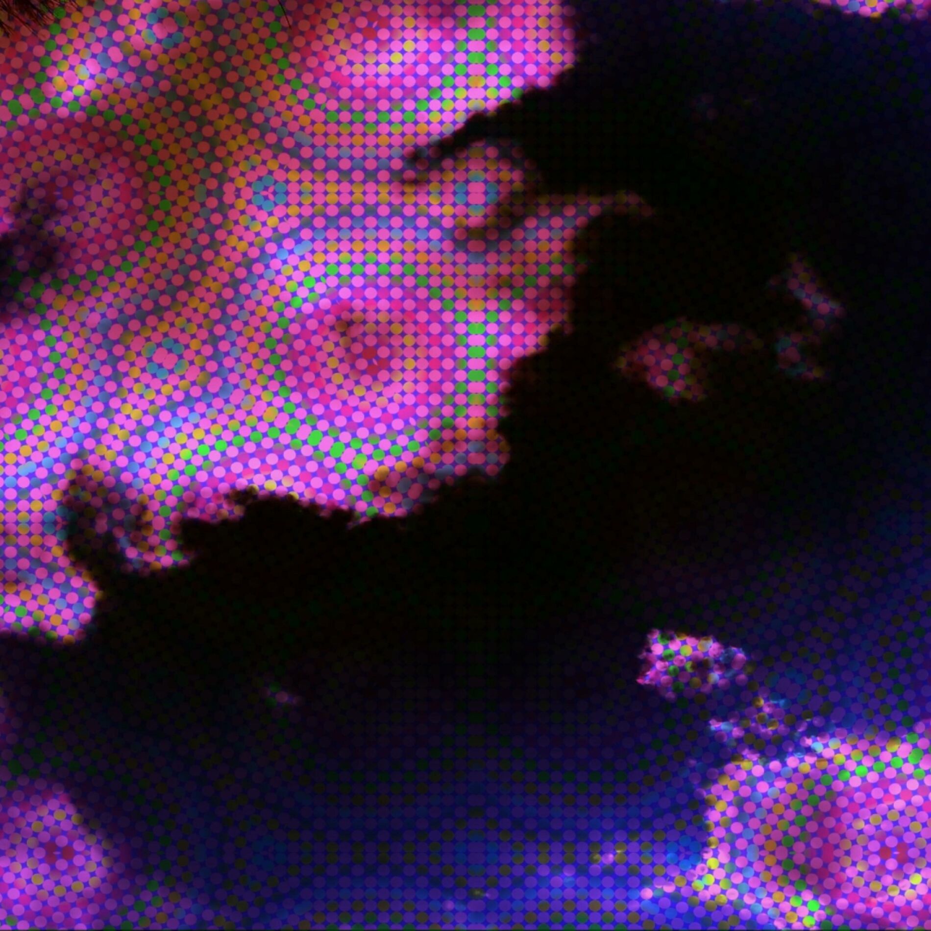 Album cover of La couleur du son