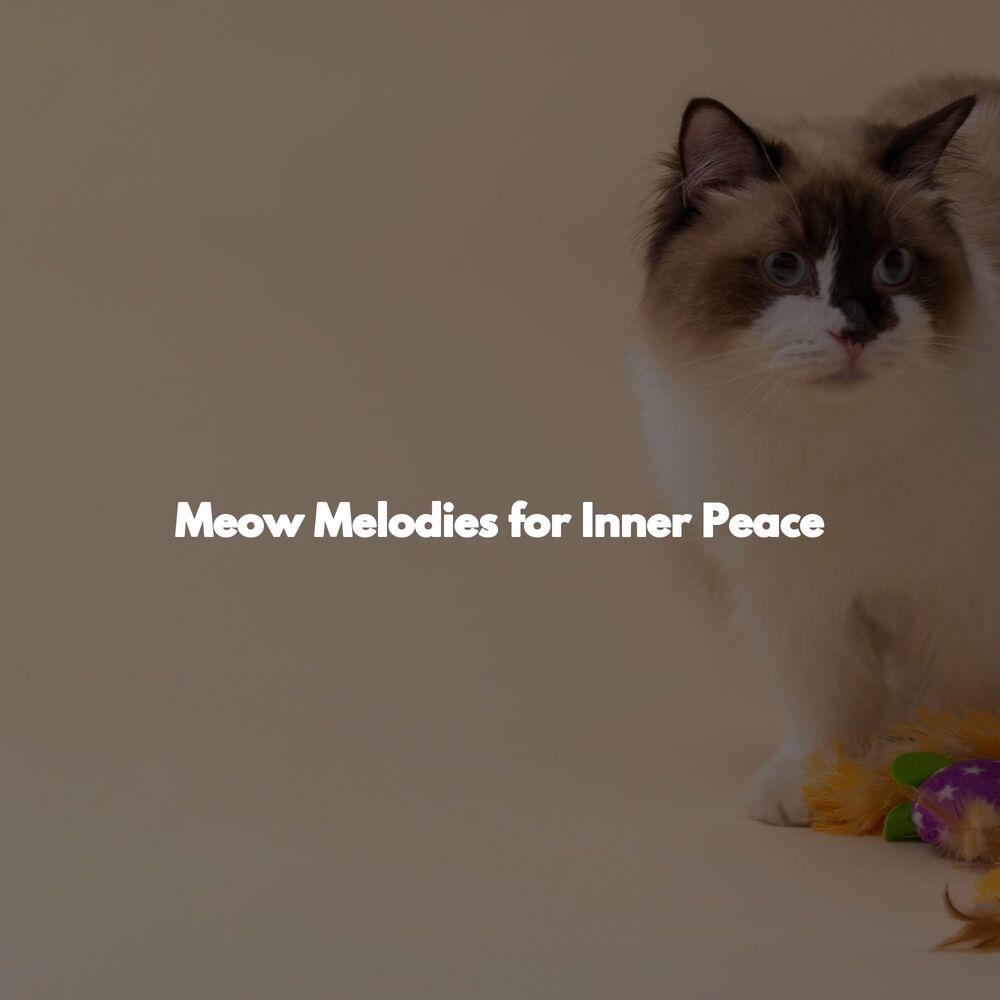 Picture of Meow Melodies for Inner Peace