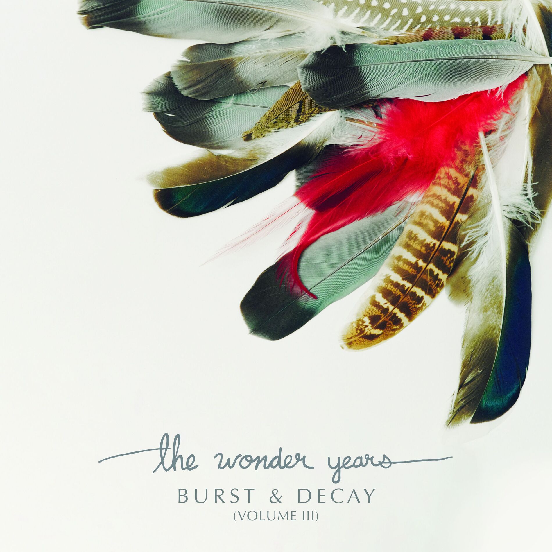 Album cover of Came Out Swinging (feat. Joe Taylor of Knuckle Puck)