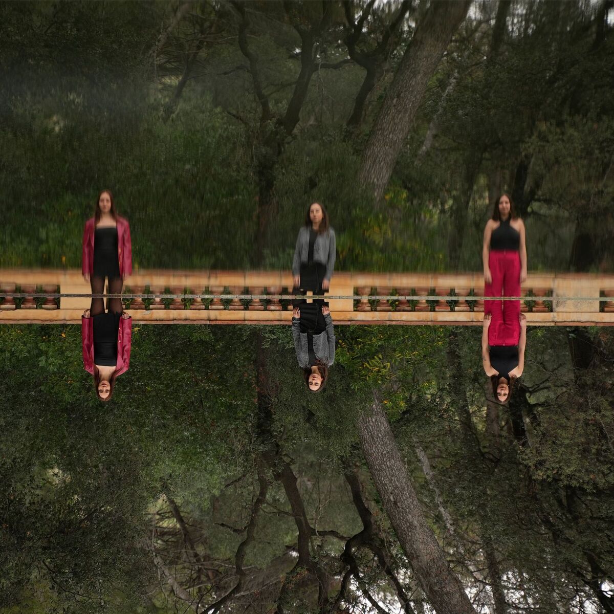 Album cover of Un cariño y más sentires