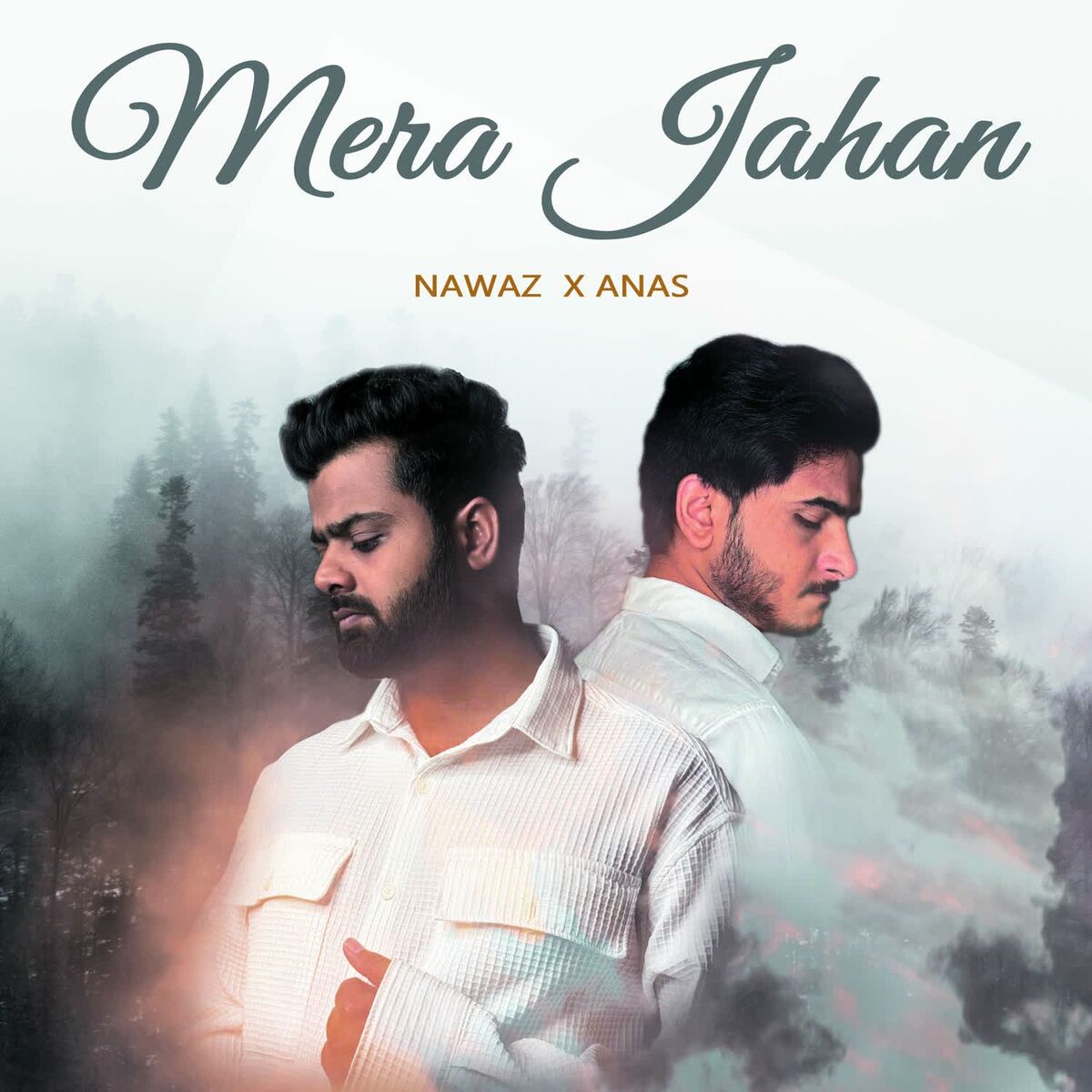 Album cover of Mera Jahan