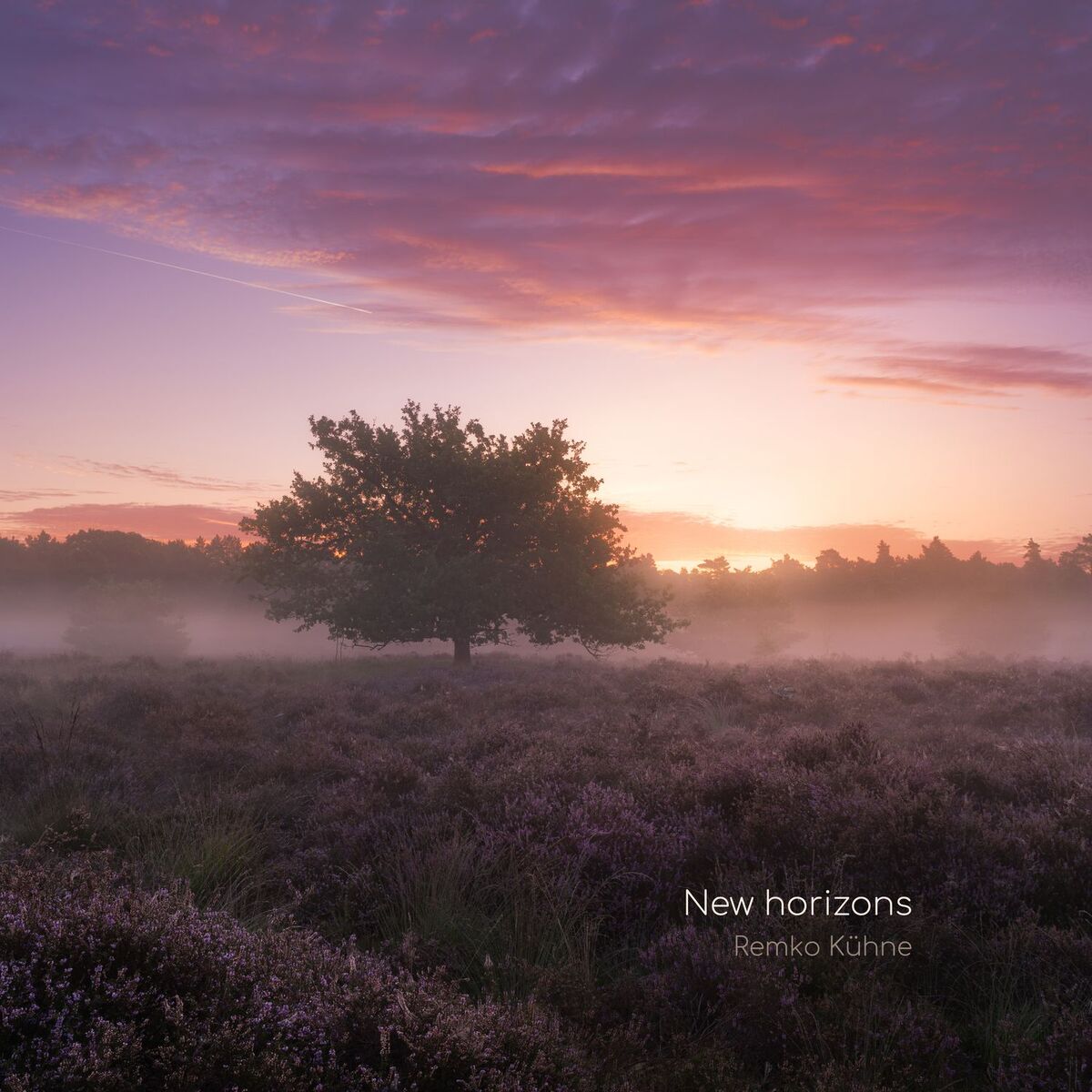 Album cover of New horizons