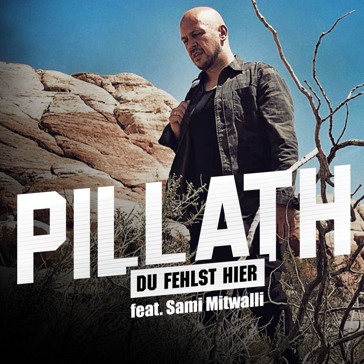 Album cover of Du fehlst hier