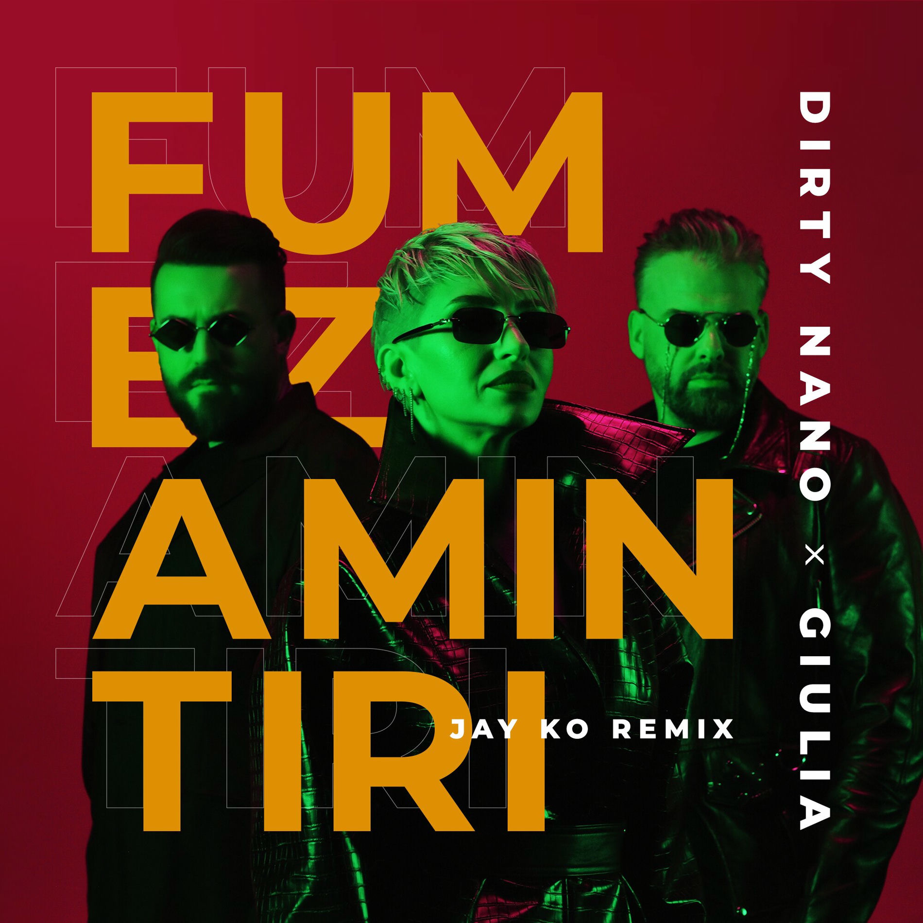 Album cover of Fumez amintiri (Jay Ko Remix)