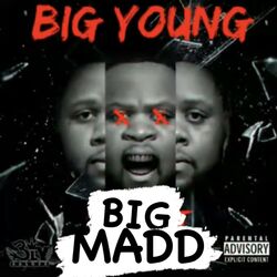 Cover of BIG MADD