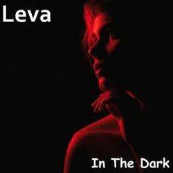 Cover of In The Dark