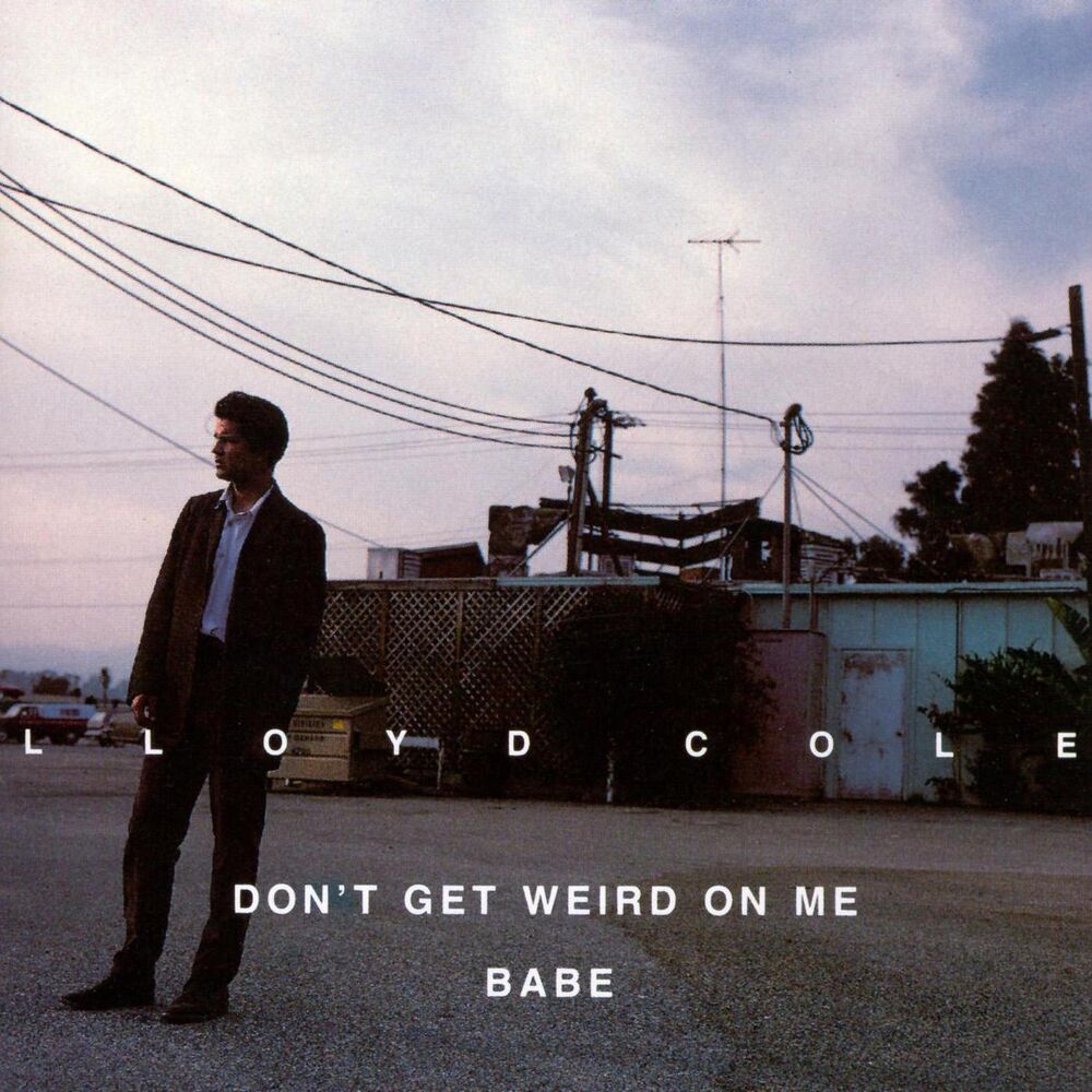 Picture of Don't Get Weird On Me, Babe