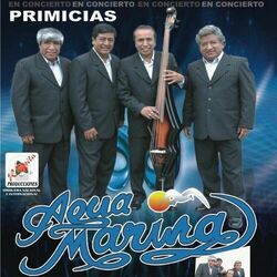 Cover of En Concierto