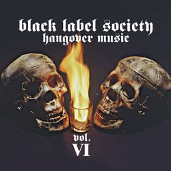 Cover of Hangover Music Vol. VI