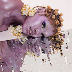 Cover of Digitally Yours
