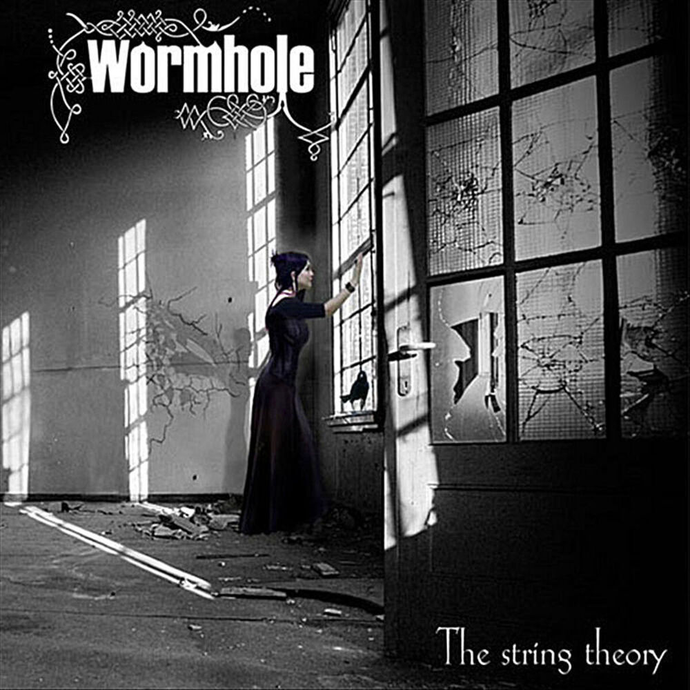 Picture of The String Theory