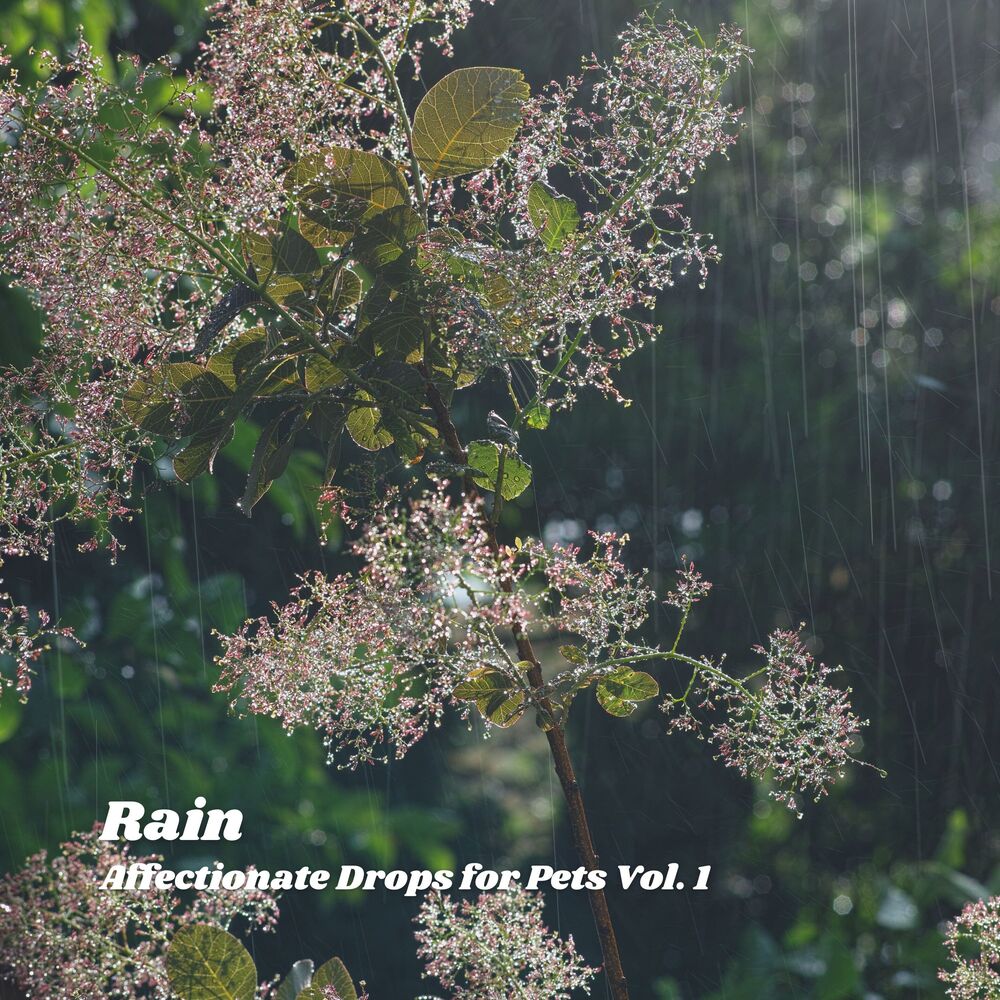 Picture of Rain: Affectionate Drops for Pets Vol. 1