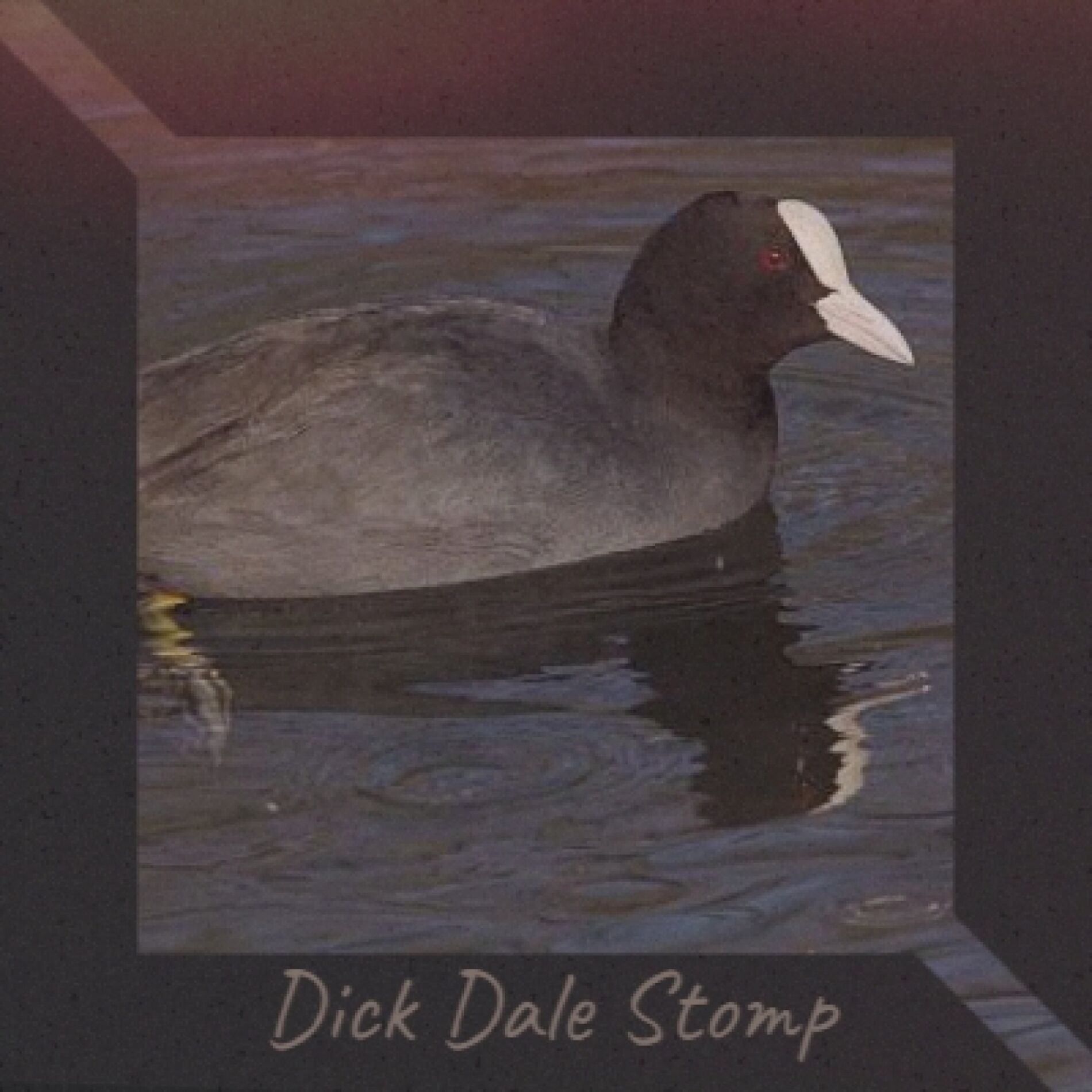 Album cover of Dick Dale Stomp