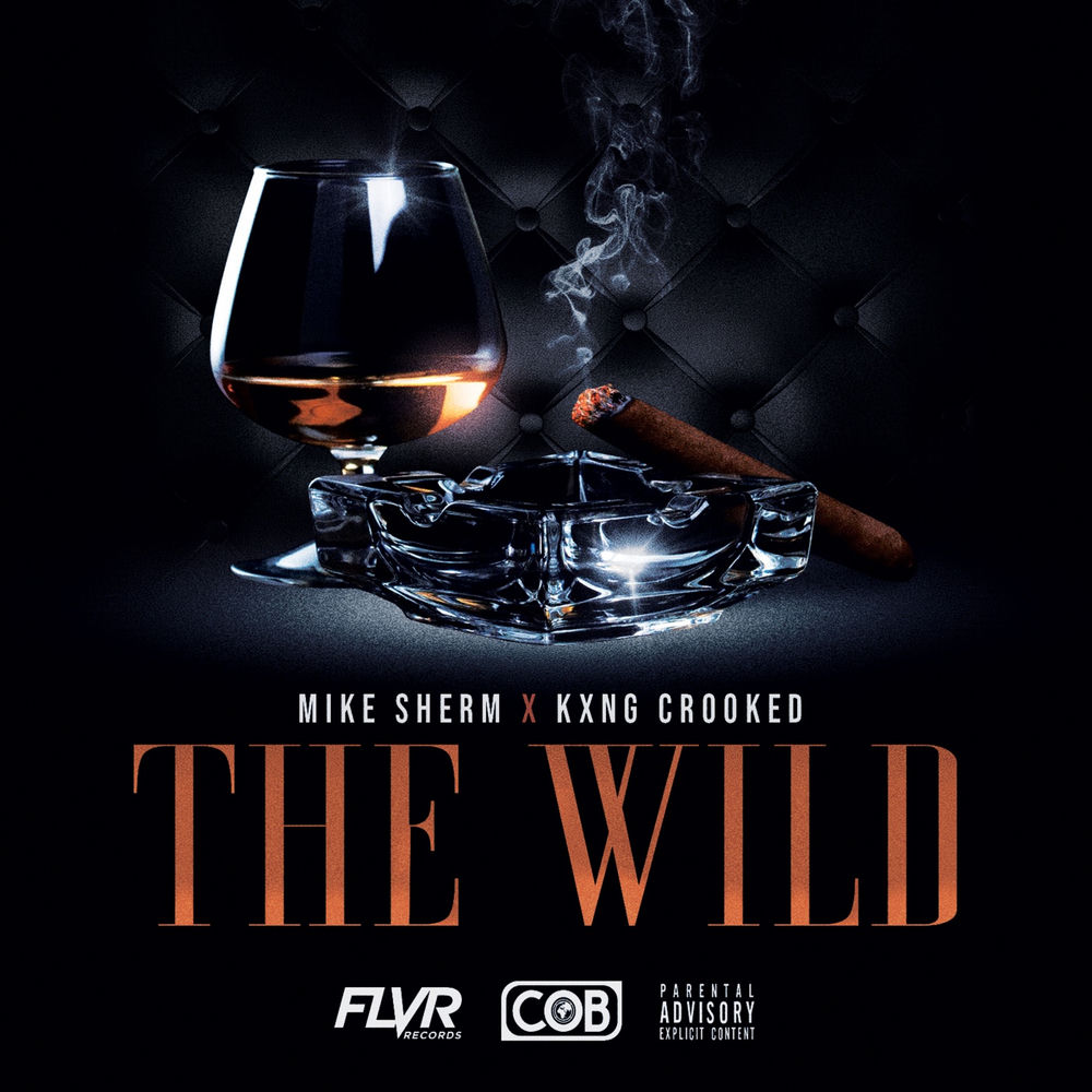 The Wild (feat. KXNG Crooked) cover