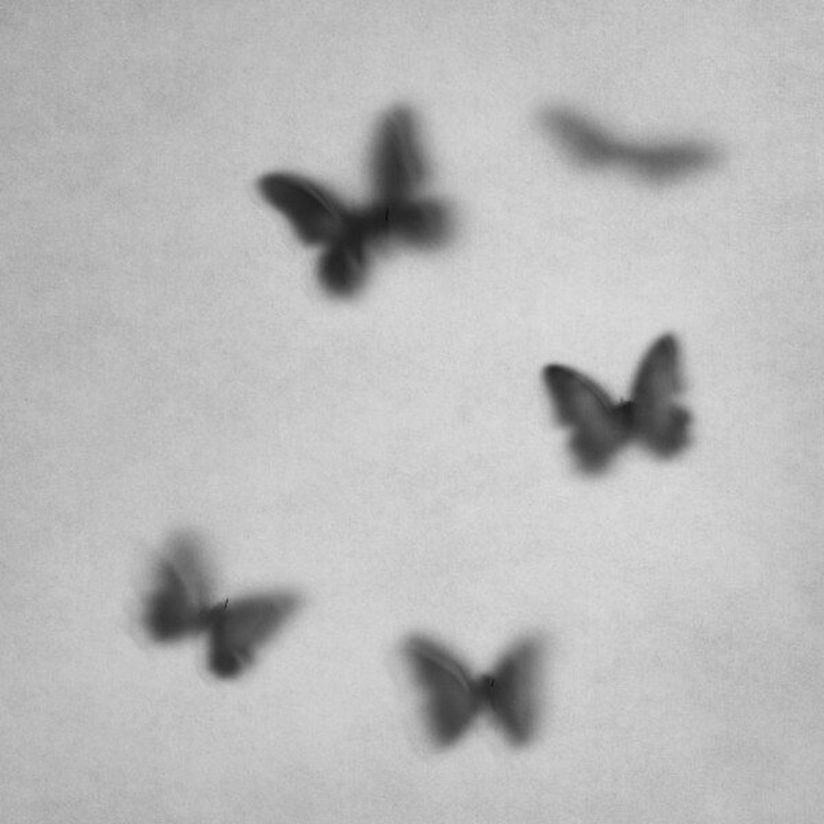 Album cover of Dreamweavers