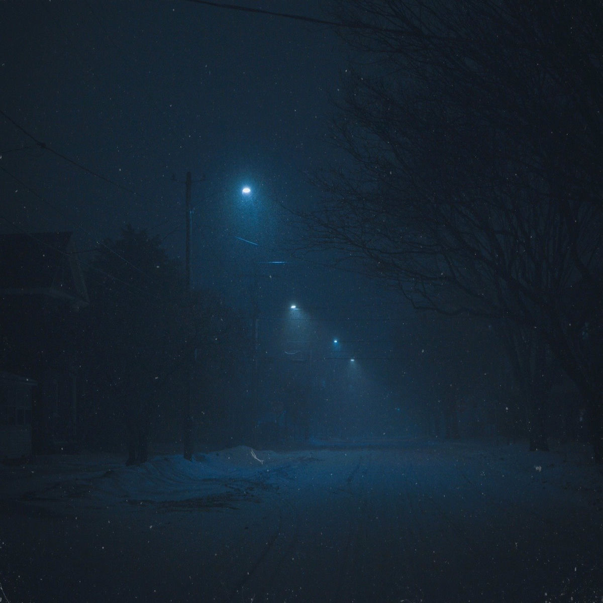 Album cover of falling snow