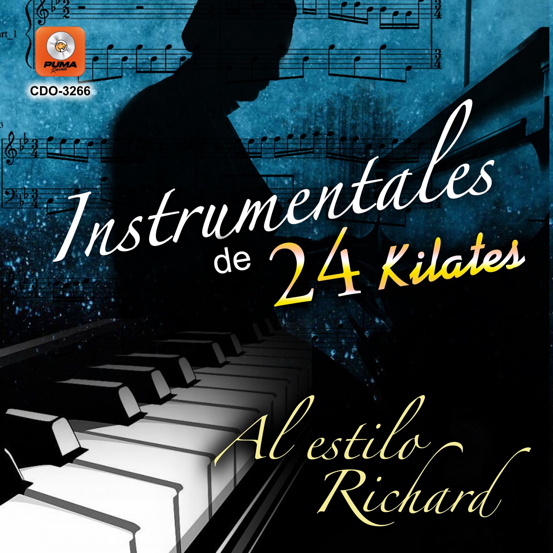 Album cover of Instrumentales De 24 Kilates Al Estilo Richard