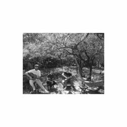 Cover of Lo Que Digo