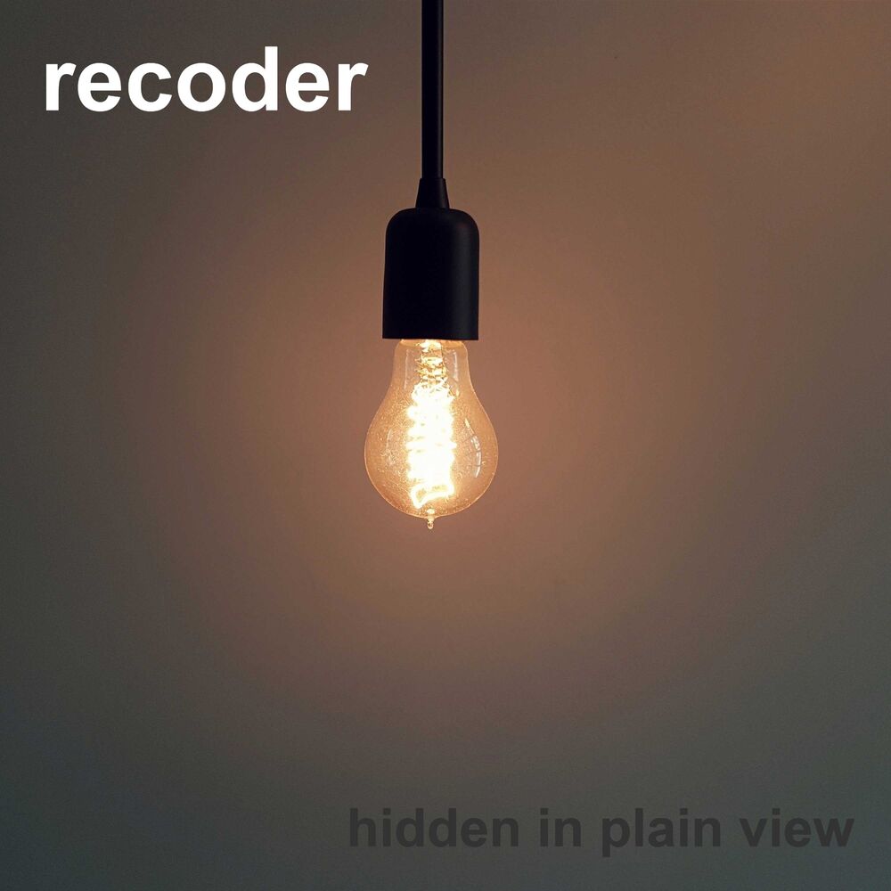 Picture of Hidden In Plain View