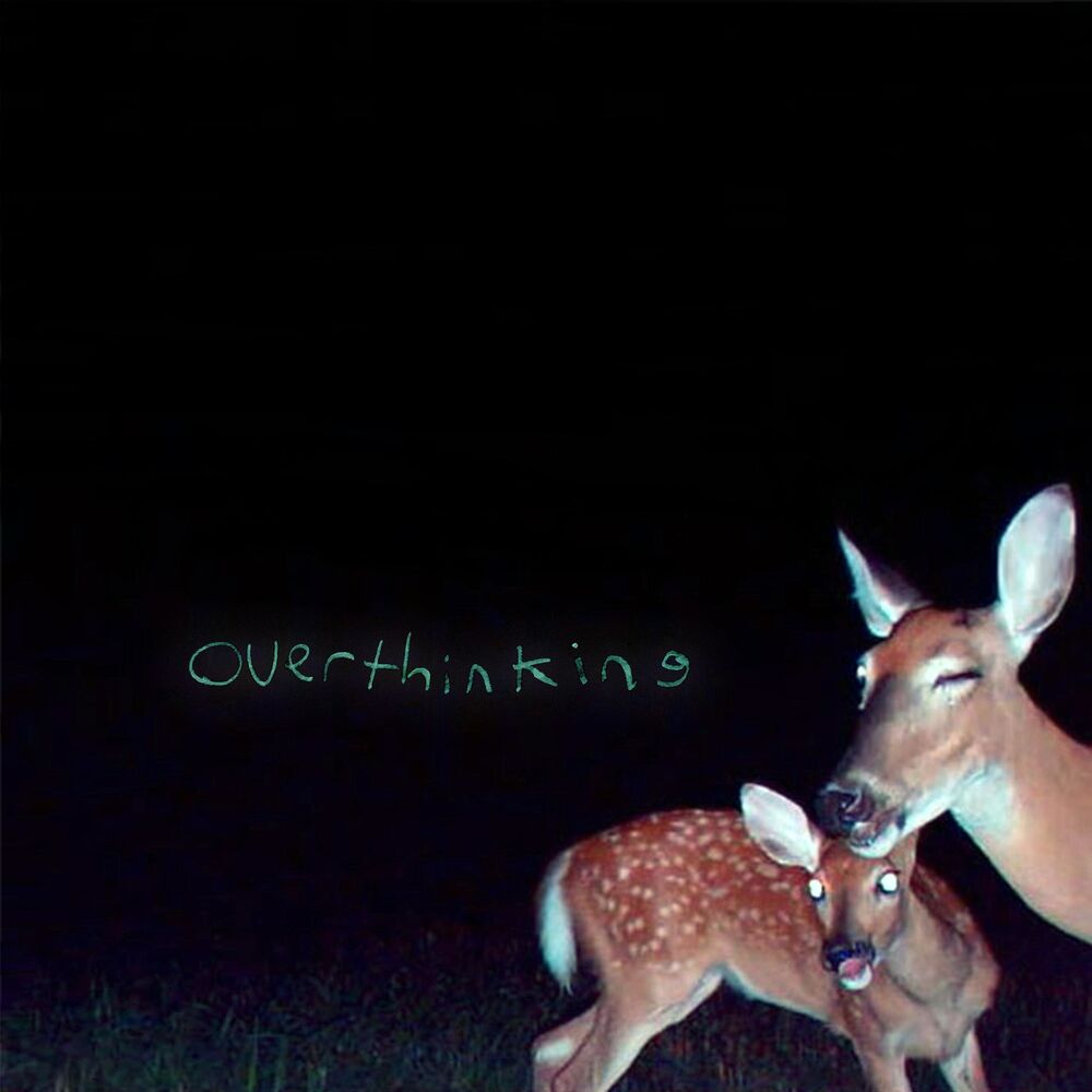 Picture of overthinking (feat. Unaloon)