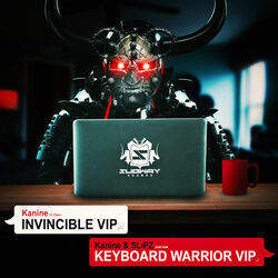 Cover of Invincible VIP / Keyboard Warrior VIP