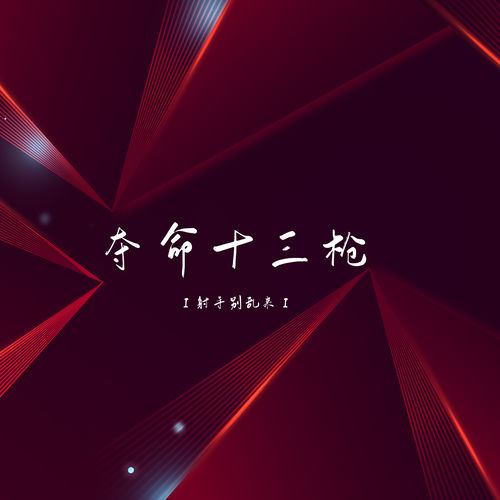 夺命十三枪