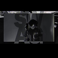 Cover of Swag