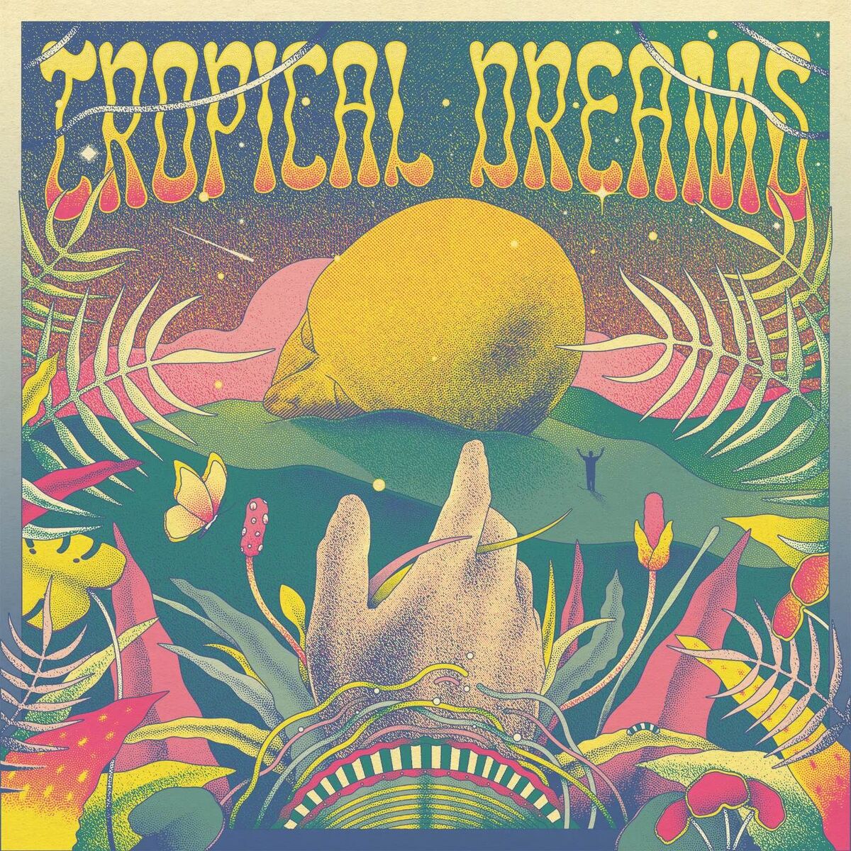 Album cover of Tropical Dreams