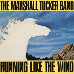 Cover of Running Like The Wind