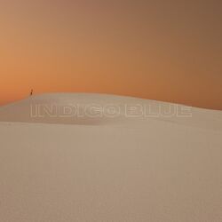 Cover of Indigo Blue