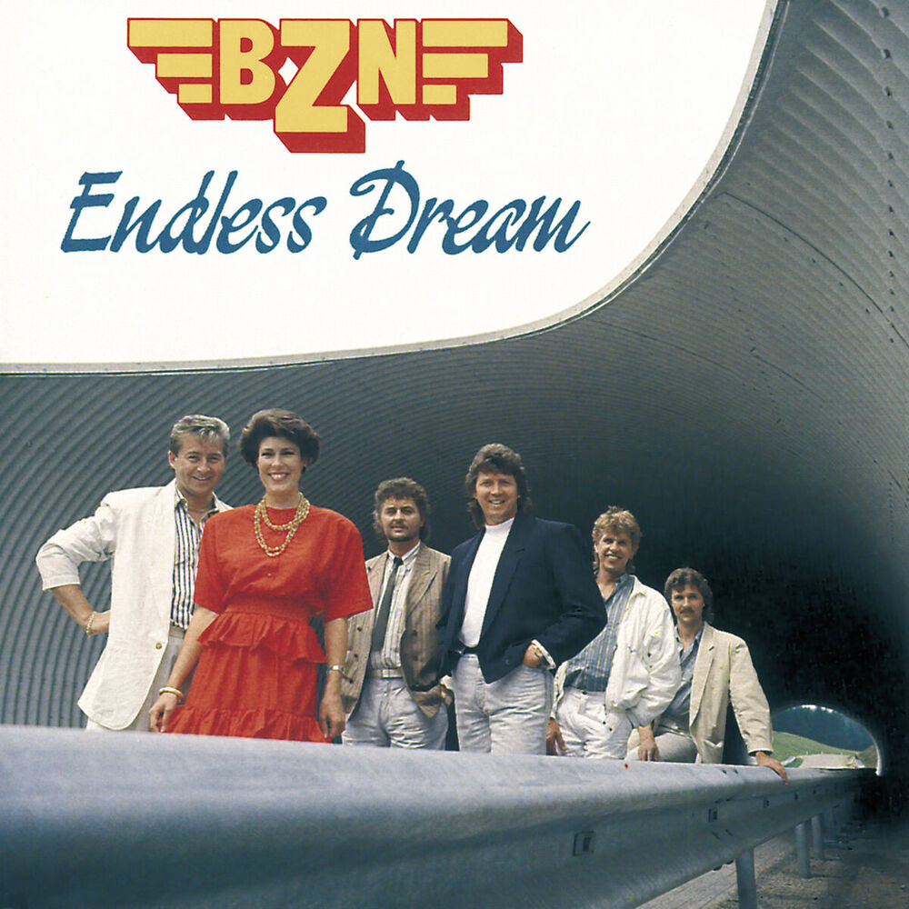 Picture of Endless Dream