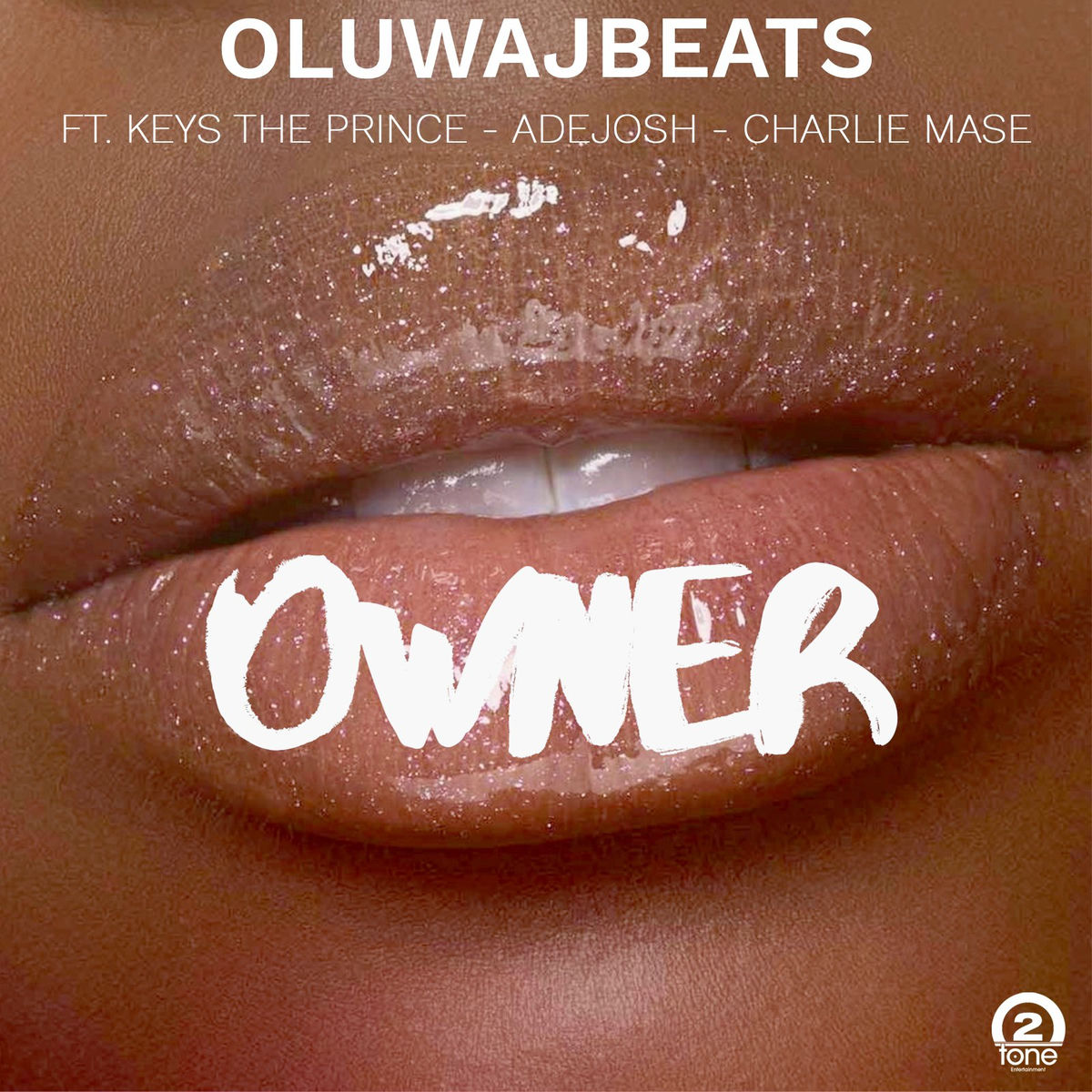 Album cover of Owner