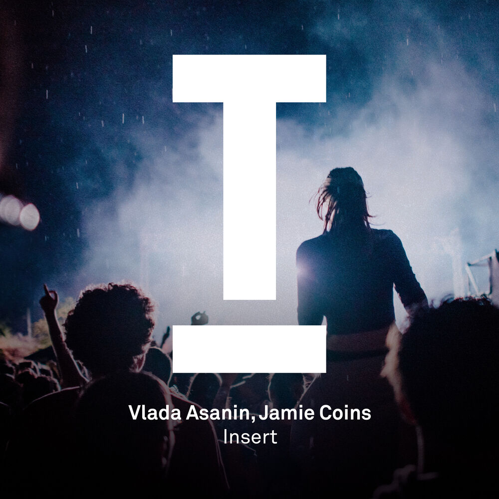 Picture of Insert