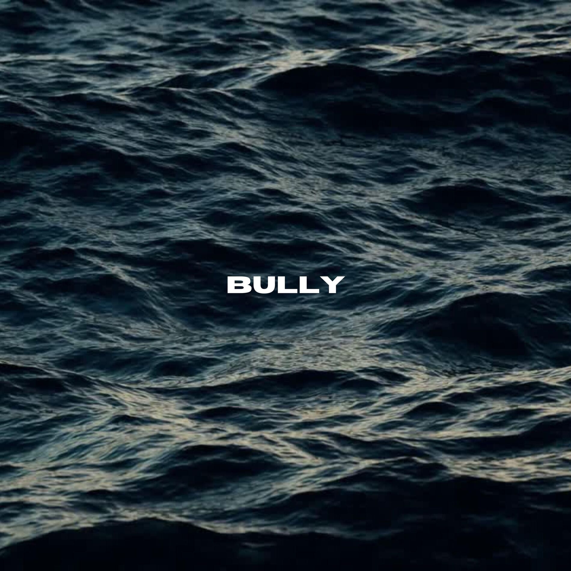 Album cover of bully (feat. Małach, DJ Kebs & Salvare)