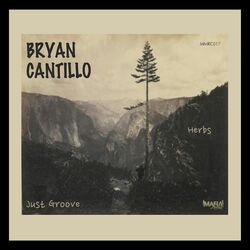 Cover of Herbs / Just Groove