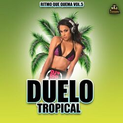 Cover of Ritmo Que Quema Vol. 5