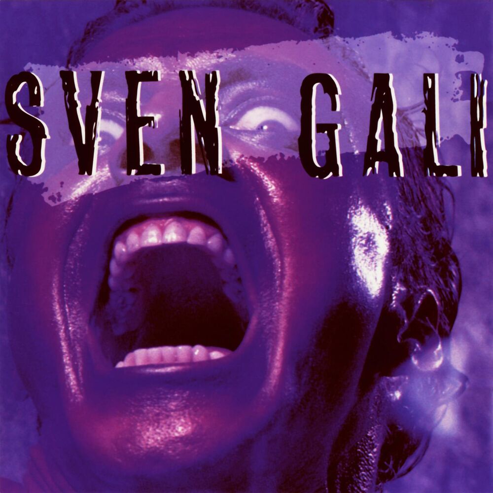 Picture of Sven Gali