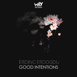 Cover of Good Intentions