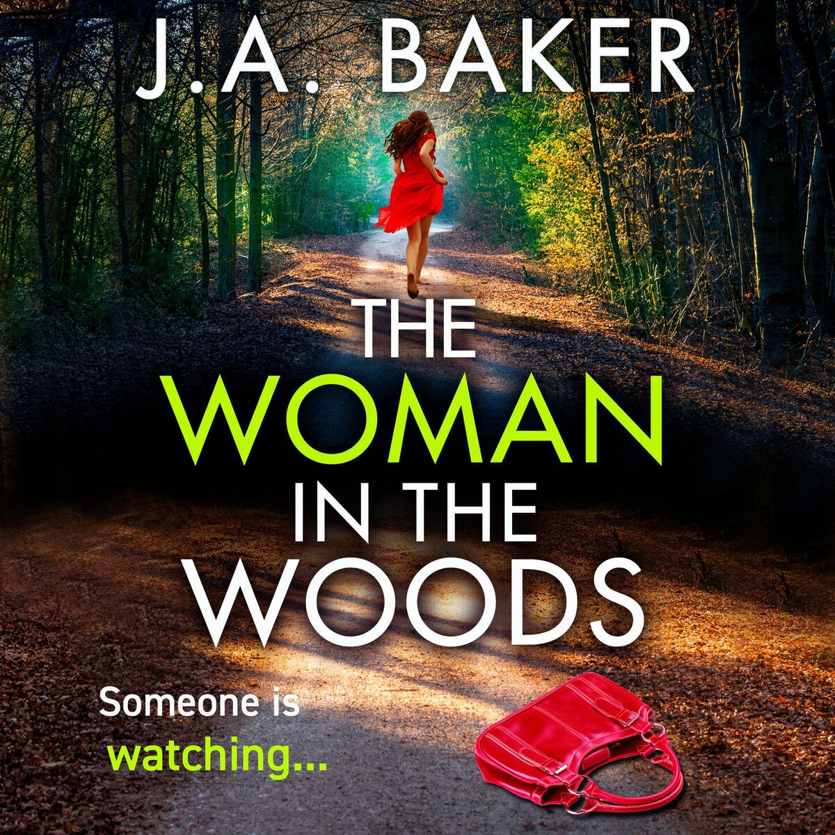 Album cover of Chapter 1 - The Woman In The Woods