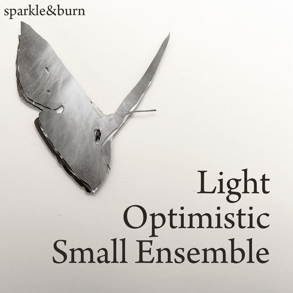 Picture of Light Optimistic Small Ensemble