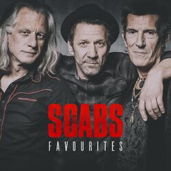 Cover of Favourites