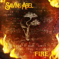 Cover of Fire