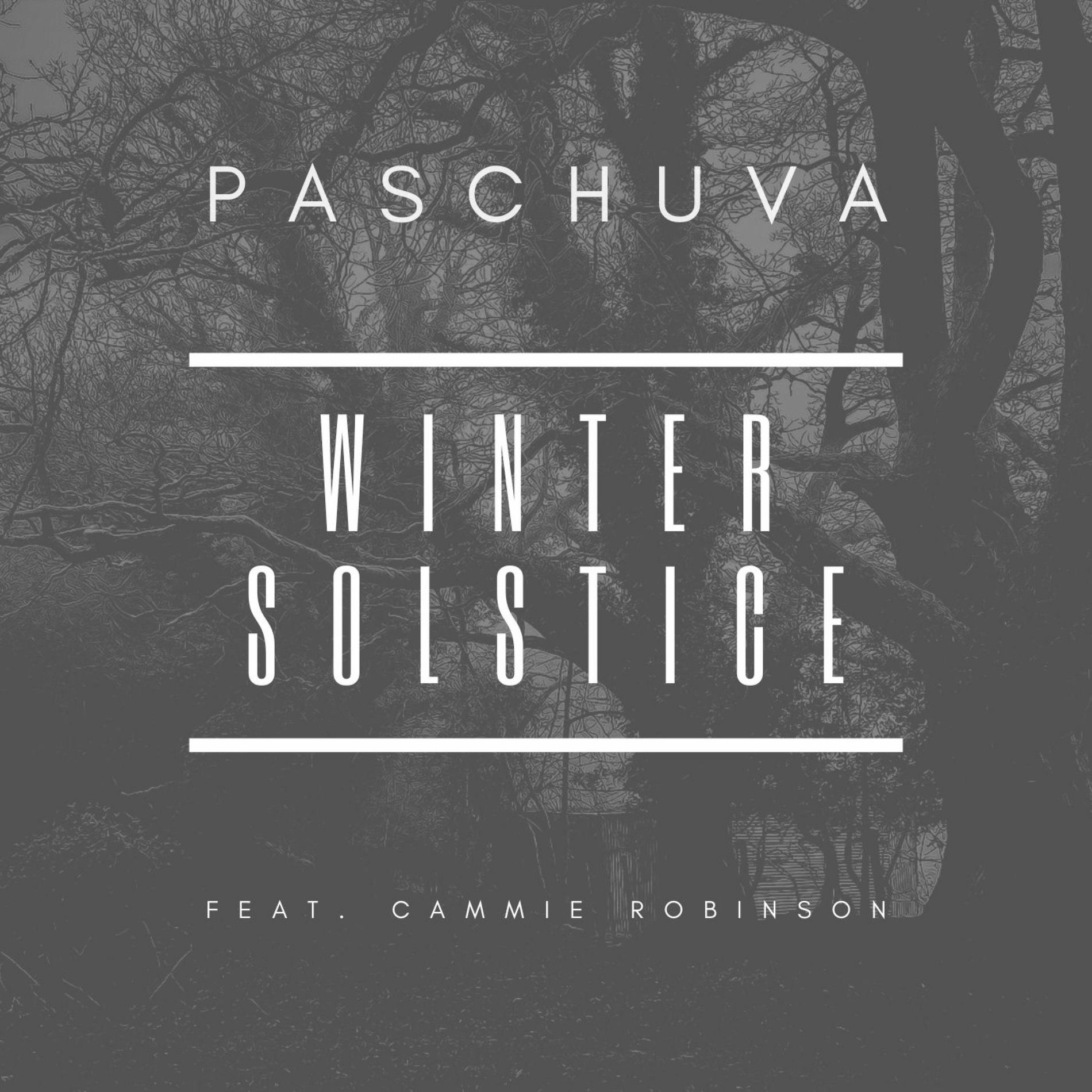Album cover of Winter Solstice (feat. Cammie Robinson)