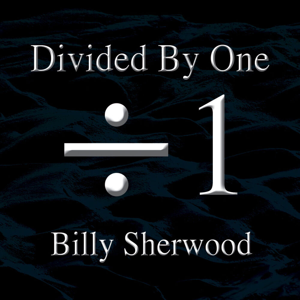 Picture of Divided by One