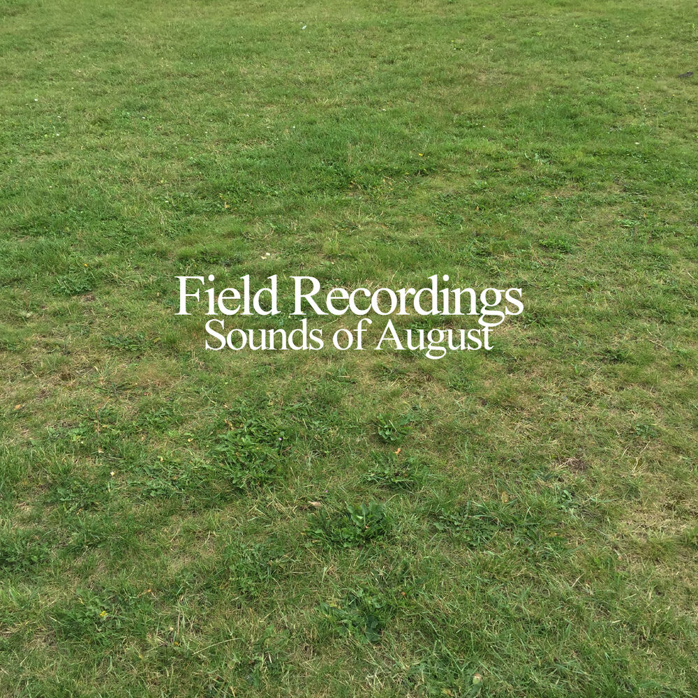 Picture of Sounds of August
