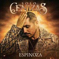 Cover of Solo Cenizas